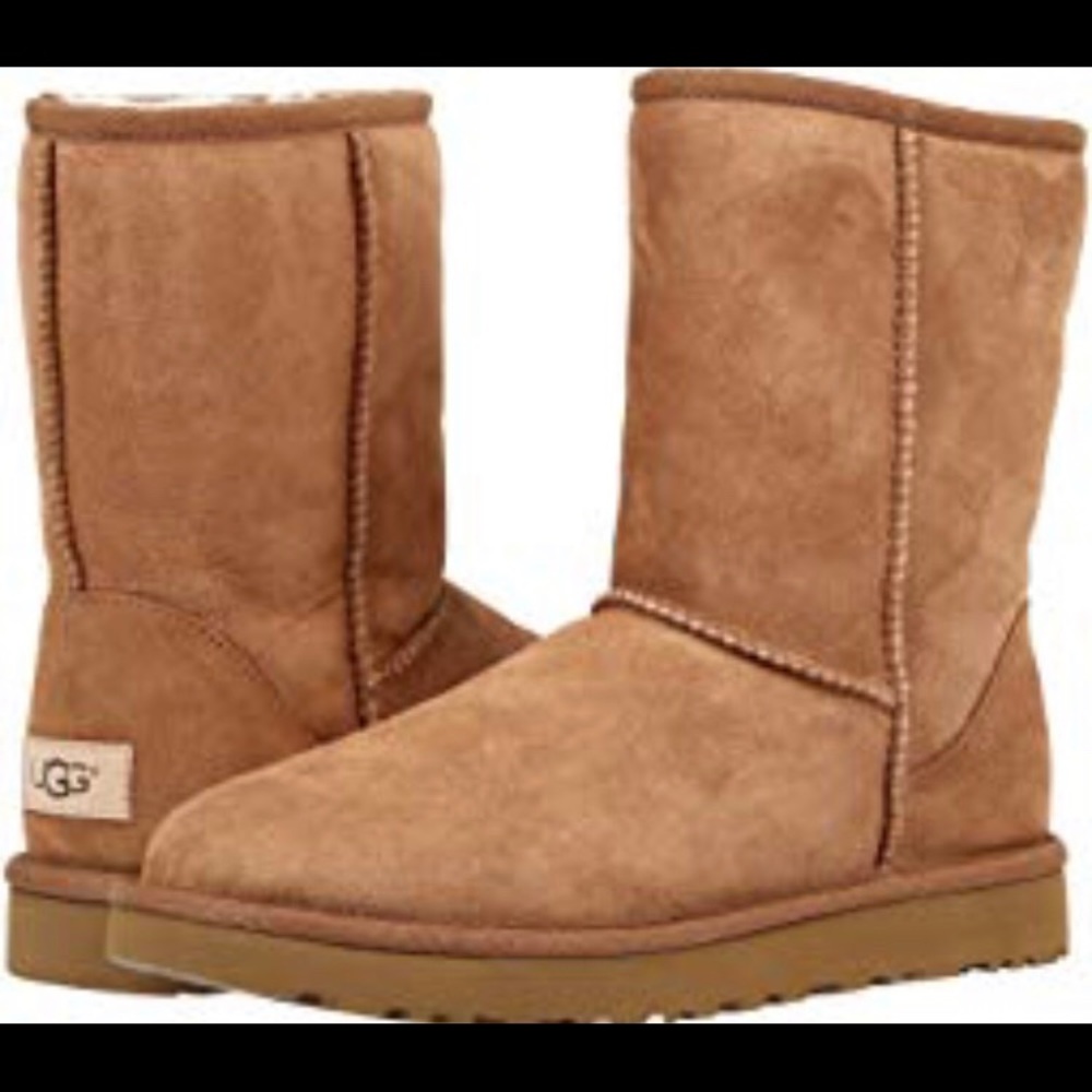 Short Brown Uggs